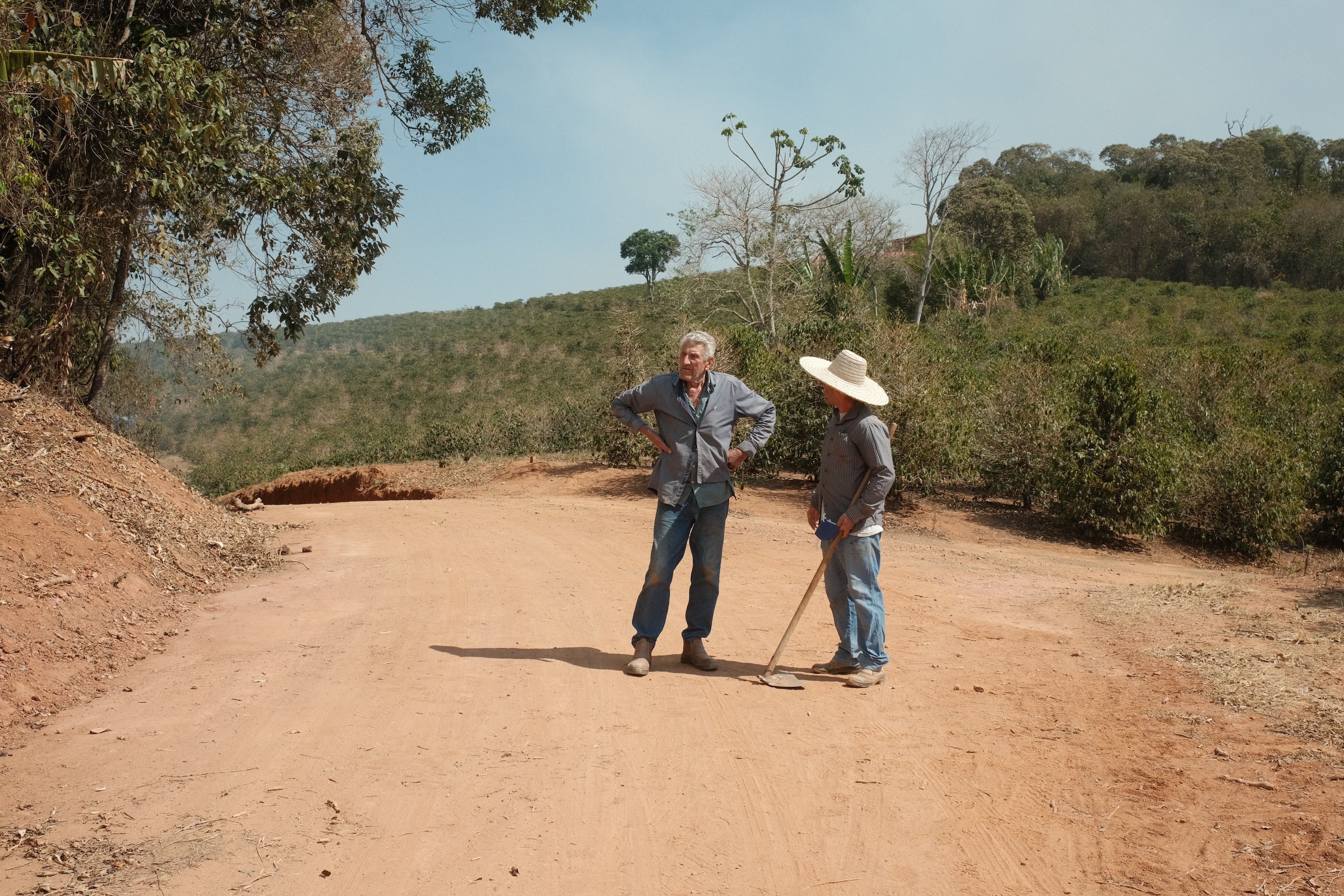 What we sourced for you in Brazil