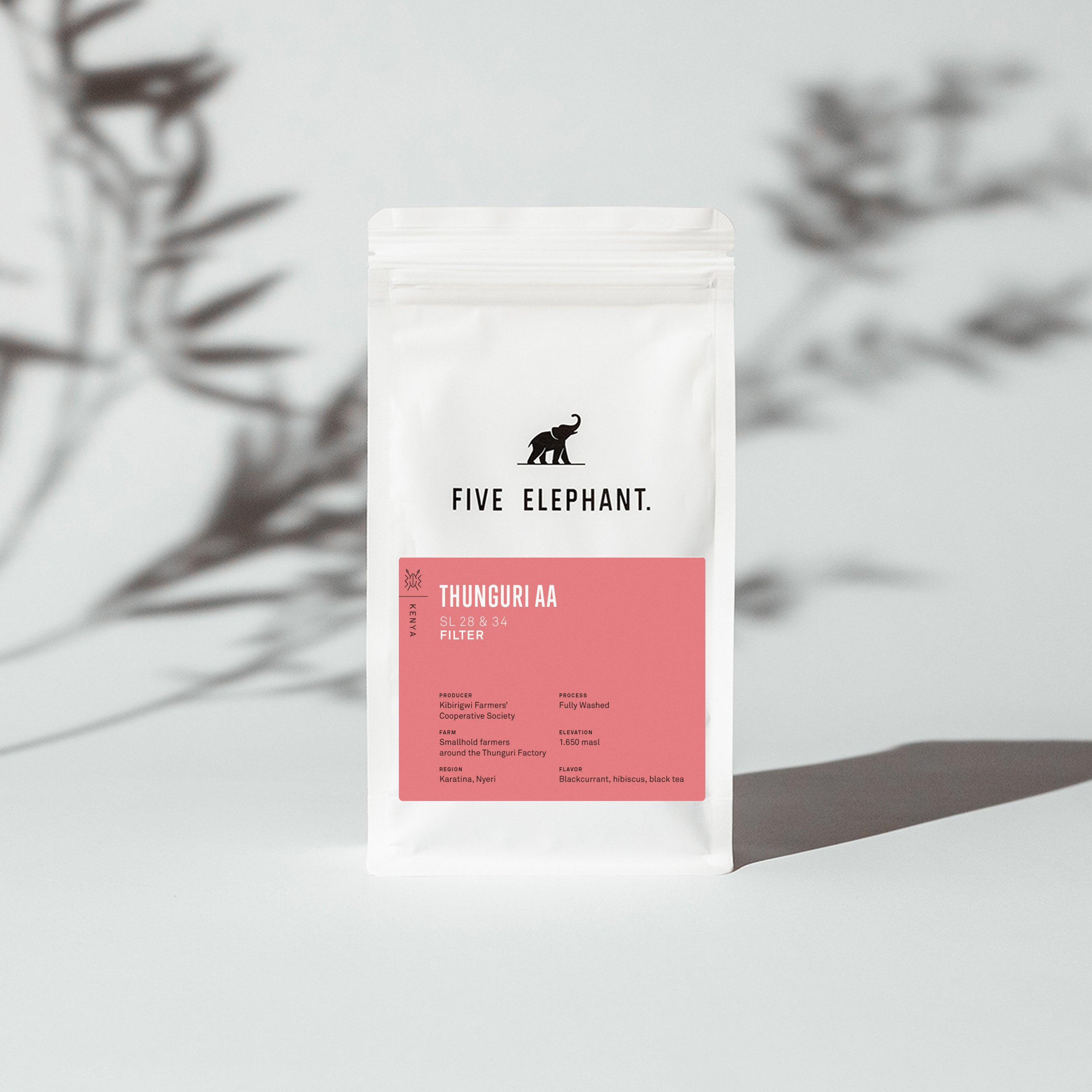 KENYA Thunguri AA – Filter — new release filter roast specialty coffee, Five Elephant